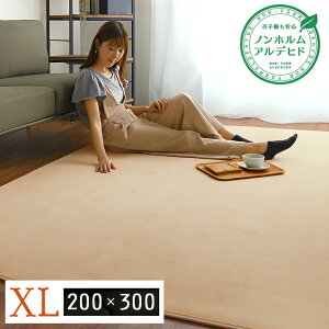 11/20()00:00`ő2000~OFFN[|zz xtl}CNt@Co[EO}bgXLTCY(200 x300cm)􂦂郉O}bg igA