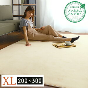 11/20()00:00`ő2000~OFFN[|zz xtl}CNt@Co[EO}bgXLTCY(200 x300cm)􂦂郉O}bg igA