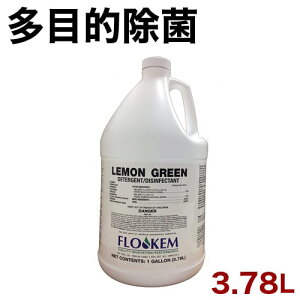 多目的用除菌洗剤 除菌 洗剤 業務用 多目的 洗面 浴室 トイレ 床 拭き掃除 嘔吐物処理 除菌洗剤 レモングリーンDD 大容量 送料無料