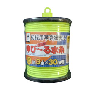 �L�с`�鐅�� �C�G���[ ������ 1270 �H������̋L�^�ʐ^�Ƀn�b�L���ƎB���S�����ł��B�L�^�ʐ^�B�e�p�S�������B BFJ1028269