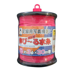 Lс`鐅 sN  1275 H̋L^ʐ^ɃnbLƎBSłBL^ʐ^BepSB BFJ1028270