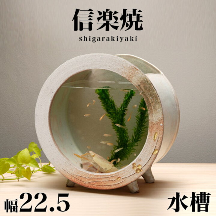 楽天市場 信楽焼き 水槽 和風 白金彩丸 小 幅22 5 高さ23 信楽焼 金魚鉢 水草アクアリウム 陶器製水槽 しがらき おしゃれ 陶器 インテリア 和雑貨 新生活 Nhk 連続テレビ小説 スカーレット インテリア雑貨 サンゴスタイル