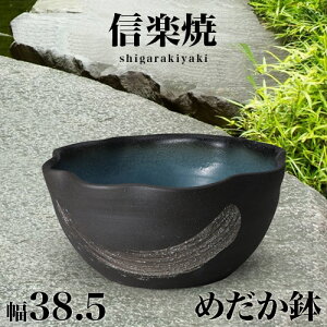 yX[p[SALE zMy ߂ ֍іڕ 38.5 17.5 MyĂ @  MyĂ 퐅 @ MyĂ߂ aG V NHK Aer XJ[b