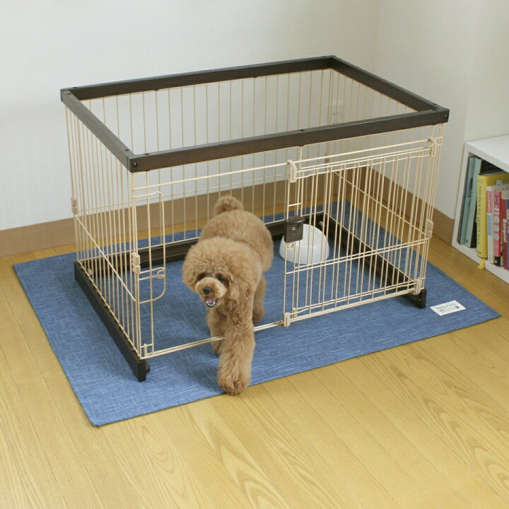 脈拍 バングラデシュ 戦略 犬 ケージ 下 に 敷く 不愉快 コンテンポラリー 文房具
