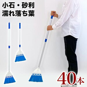 y匈ZSALEJÒzXgn[hz[Li40j iA~Lkj 40{ Gꗎtp ʂꗎt Ԃт  | NNn  ق |    O ق | 