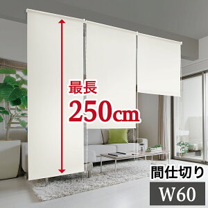 yyVX[p[SALEQzԎd؂ 60cm×250cm [XN[ {I p ډB ItBX Lb` [ B XN[ ͗lւ 悯  uCh  uCh J