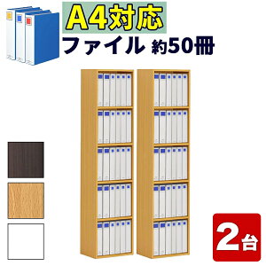 yԌ P2{z2Zbg A4t@C[ 5i 40cm A4TCY LOt@CΉ I {I 5iI A4J[{bNX 5i ǖʎ[ A4t@C[I ItBX[ ubNVFt bN 