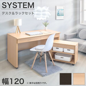 【期間限定 P2倍】System desk set 120 cm wide desk wagon computer desk office desk office telecommuting telework home work for children study