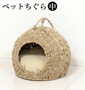 () L 35cm pybgnEX ybg jR L   ܂܂ i`fpCeA ɂ񂱗p mɎ V[OX fp  L