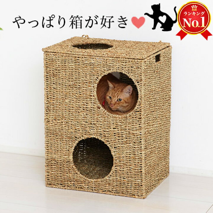 楽天市場 猫ちぐら 完売しました 幅43cm ペット用 ボックス 天然素材 ペット用ハウス 猫ハウス 遊び場おもちゃトンネル 籠カゴかご箱ボックス 猫トンネルおもちゃ 箱 はこ型 にゃんこ 猫 うさぎ ハウス 小動物用 トンネルおもちゃ ウォーターヒヤシンス製 インテリア