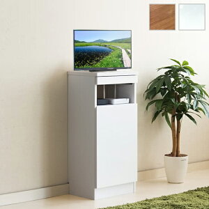 yԌ P2{zer X 37.5cm [y悠z  [ Ƌ   S[f[ Ƌ rO[ f[ er 40cm Vv  zCg  