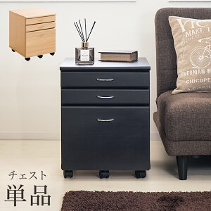 y匈ZSALEJÒzVXefXN120 `FXgPiy悠z 38.5cm uE X ؖ ؐ 390 o 3i A4t@C[S wKfXNS o fXN TChS T