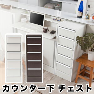 yԌ P2{zX^CbVfUC JE^[30`FXg o ȃXy[X ܎[ X  bN Ƌ zCg _[NuE 30cm o[