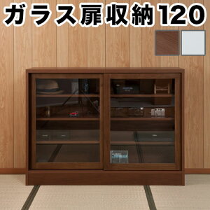 VR؋ JE^[[ 120 uE [   Lb` [ Lrlbg rO[ _CjOƋ