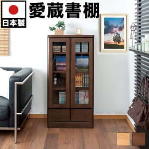 yԌ P2{zVR KXtI 60cm121cm {I { OpC  Lrlbg I RNVbN tI Si̓{Ƌ YLrlbg 