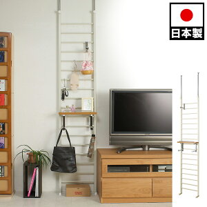 _[bN 40 { EH[bN ˂胉bN ^ ǖʎ[ tbN It p[e[V ǖʎ[ nK[bN X ǂȂŒ ς胉_[bN 