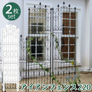 yԌ P2{zACAtFX220 nC^Cv 2g  tFX ACA K[ftFX K[fjO g  d؂ ډB  NVJ AeB[N gX x_ 