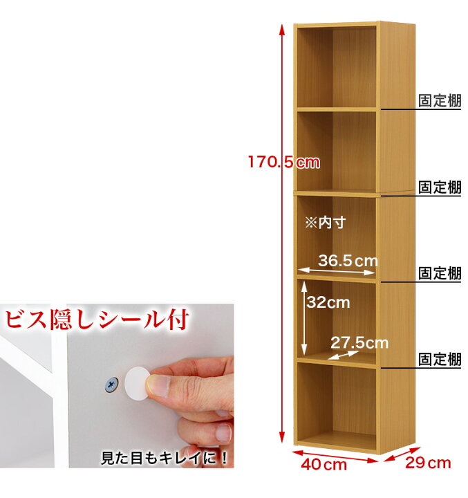 楽天市場 ファイル収納 5段 幅40cm サイズ キングファイル対応 書棚 ファイル 棚 整理 5段棚 カラーボックス 本棚 5段 ホワイト 白 ブラウン 大容量 シンプル 壁面収納 ファイル収納棚 在宅ワーク オフィス収納 シェルフ 楽天 新生活 インテリア雑貨 サンゴ