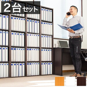 2��Z�b�g A4�t�@�C�����[ 5�i ��40cm A4�T�C�Y �L���O�t�@�C���Ή� ���I �{�I 5�i�I A4�J���[�{�b�N�X 5�i �ǖʎ��[ A4�t�@�C�����[�I �I�t�B�X���[ �u�b�N�V�F���t ���b�N ���[�I �I�t�B�X���[ 