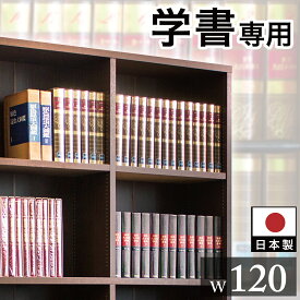 強化本棚 オープンラック 幅120cm 高さ180cm【SB40229】 シェルフ 本棚 大容量 ダークブラウン 書庫ブックラック 本棚 頑丈 木製 耐荷重30kg 丈夫 辞書 図鑑 専門書の収納に