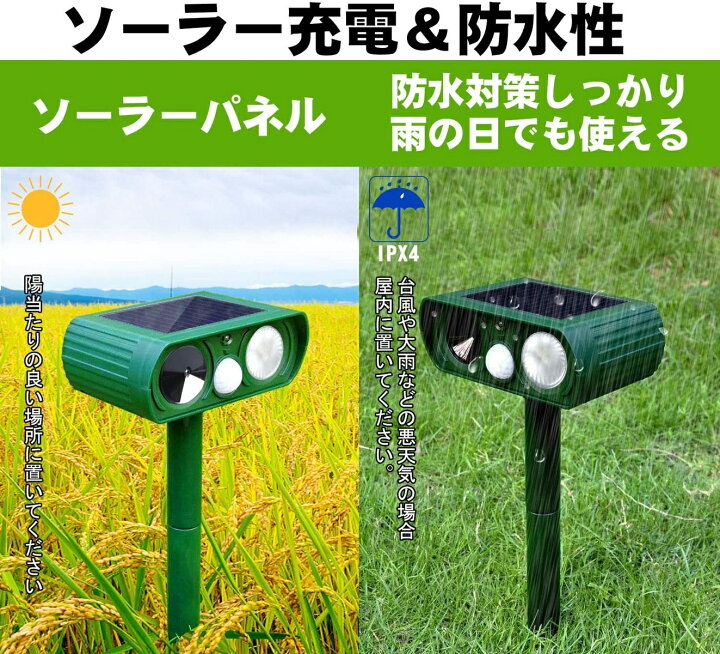 楽天市場 猫よけ 超音波 猫除け 超音波 ソーラー 強力 動物撃退器 害獣対策 猫よけグッズ 猫 フン対策 猫撃退 ネズミ対策 害鳥対策 ネコ避け 鳥よけ 犬除け イノシシよけ Ipx4 防水 防塵 強力ledライト 珊瑚商店