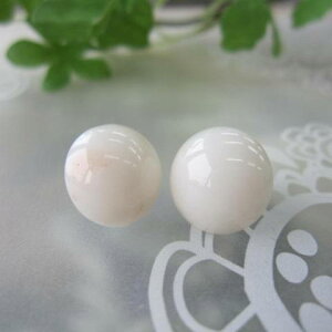 X EhsAX (12.8~) K14WG ANZT[ w΃TSx X荥 җ a j   3̒a Mtg v[g 35N XEl