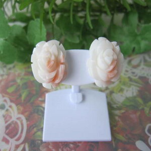 sNXKN̉Ԃ̃sAX  K14WG oE΂ w΃TSx X荥 җ a j   3̒a Mtg v[g 35N XEl