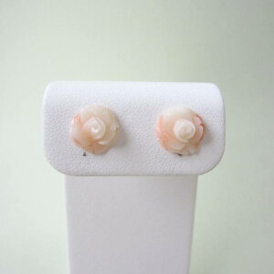 sNX KN̉ sAX `^iVRLb`j  ΂ ΃TS X荥 җ a j   3̒a Mtg v[g 35N XEl