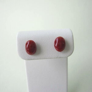 { mYԎX I[osAXi8.8×6.5~j K18 ΃TS X荥 җ a j   3̒a Mtg v[g 35N XEl