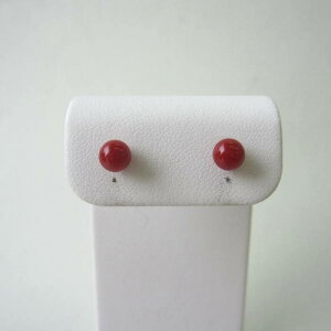 { mYԎX sAXi4.9~ʁj K18 IXX ΃TS X荥 җ a j   3̒a Mtg v[g 35N XEl