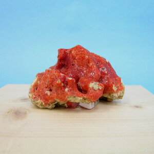 ɒmYԎX  q u w΃TSx X荥 җ a j   3̒a Mtg v[g 35N XEl