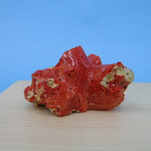 ɒmYԎX  q u w΃TSx X荥 җ a j   3̒a Mtg v[g 35N XEl