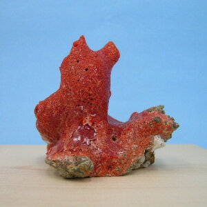 ɒmYԎX  q u  w΃TSx X荥 җ a j   3̒a Mtg v[g 35N XEl