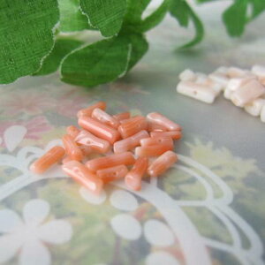 sNX }r[Yi20Rj p[c | w΃TSx X荥 җ a j   3̒a Mtg v[g 35N XEl