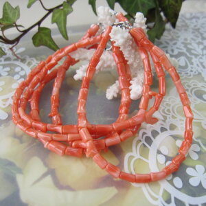  sNX }̃uXbg ^J w΃TSx X荥 җ a j   3̒a Mtg v[g 35N XEl