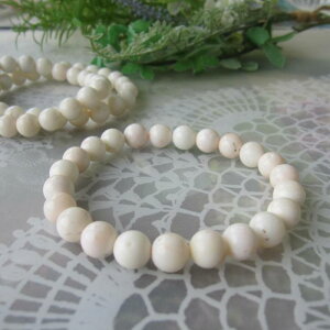 嗱 ~bhX uXbg 9~ w΃TSx X荥 җ a j   3̒a Mtg v[g 35N XEl