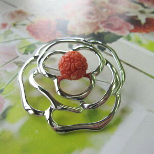 X ̒̃JAu[` SILVER w΃TSx X荥 җ a j   3̒a Mtg v[g 35N XEl