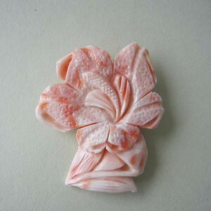 sNX S̉Ԃ̃u[` G.SILVER R[ w΃TSx X荥 җ a j   3̒a Mtg v[g 35N XEl