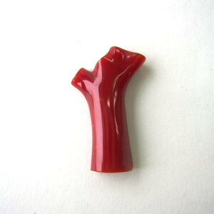 { mYԎX } u[` SILVER uv ΃TS X荥 җ a j   3̒a Mtg v[g 35N XEl