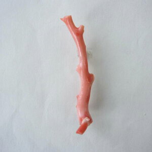 sNX i` }u[` ^J w΃TSx X荥 җ a j   3̒a Mtg v[g 35N XEl