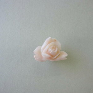 ~bhX  KN̉ s^bN su[` R[ ΃TS X荥 җ a j   3̒a Mtg v[g 35N XEl