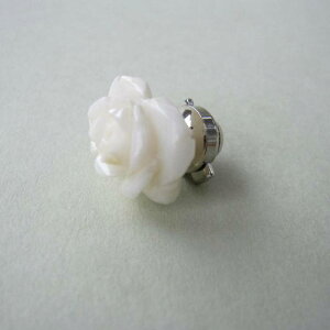 X KN̉ s^bN su[` R[ ΃TS X荥 җ a j   3̒a Mtg v[g 35N XEl