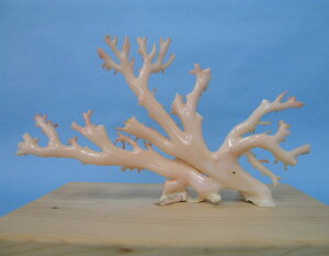 mYX  q u oHς w΃TSx X荥 җ a j   3̒a Mtg v[g 35N XEl