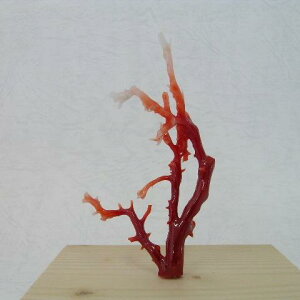 yYԎX q u  u w΃TSx X荥 җ a j   3̒a Mtg v[g 35N XEl