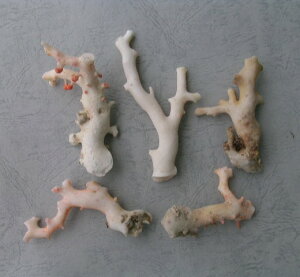 ~bh ij X  5{Zbg 55 w΃TSx X荥 җ a j   3̒a Mtg v[g 35N XEl