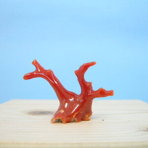 {EmYԎX̔qEuE u  J^ w΃TSx X荥 җ a j   3̒a Mtg v[g 35N XEl