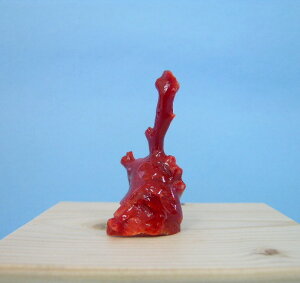 yYԎX̔q u  w΃TSx X荥 җ a j   3̒a Mtg v[g 35N XEl