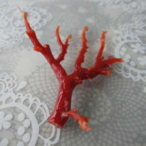 yōz {EmYԁijX }p[c  w΃TSx X荥 җ a j   3̒a Mtg v[g 35N XEl