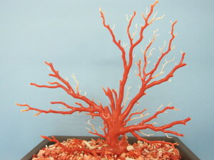 豪華!桃珊瑚の盆栽風の置き物『宝石サンゴ』 珊瑚婚 還暦 誕生日 御祝 厄除 御守 3月の誕生石 ギフト プレゼント 結婚35周年 珊瑚職人 家宝