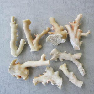 mYX̌؁i8ZbgE420gjVRR[ w΃TSx X荥 җ a j   3̒a Mtg v[g 35N XEl